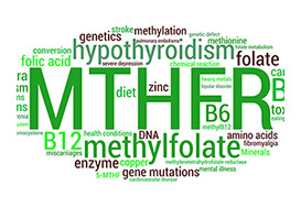 Appendix E - Methylfolate and MTHFR